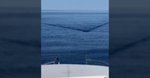 Pasažieri na lodi ostali v šoku keď uvideli, čo sa k nim blíži