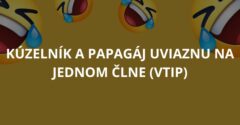 Kúzelník a papagáj uviaznu na jednom člne (Vtip)