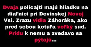 Policajti zisťujú, prečo záhorák kotúľa pred sebou sud (Vtip)
