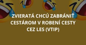 Zvieratá chcú zabrániť cestárom v robení cesty cez les (Vtip)