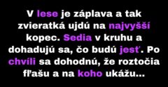 Zvieratá počas záplavy musia vymyslieť, čo budú jesť (Vtip)