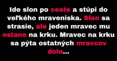 Mravec sa pomstí slonovi za zašliapnuté mravenisko (Vtip)