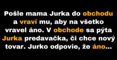 Jurko na všetky otázky odpovedá áno (Vtip)