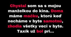 Muž sa snaží dostať neposlušnú mačku z domu (Vtip)