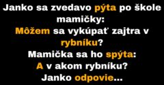 Janko vysvetľuje mamičke, prečo má mokré vlasy (Vtip)