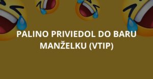 Palino priviedol do baru manželku (Vtip)