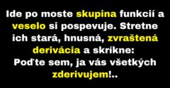 Skupinu funkcií stretne strašidelná derivácia (Vtip)