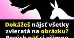 Dokážeš nájsť všetky zvieratá na obrázku? Prvých päť si všimne väčšina, ďalšie štyri len tí najpozornejší