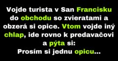 V obchode v San Franciscu predávajú inteligentné opice (Vtip)