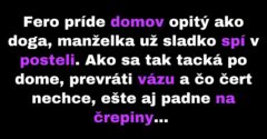 Fero si v podguráženom stave ošetruje poranený zadok (Vtip)