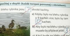 Šikovná žiačka dostala štvorku z matematiky, čo na internete spustilo vlnu diskusie. Postupovala učiteľka správne?
