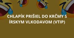 Chlapík prišiel do krčmy s írskym vlkodavom (Vtip)