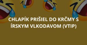 Chlapík prišiel do krčmy s írskym vlkodavom (Vtip)