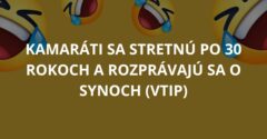 Kamaráti sa stretnú po 30 rokoch a rozprávajú sa o synoch (Vtip)