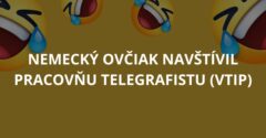 Nemecký ovčiak navštívil pracovňu telegrafistu (Vtip)