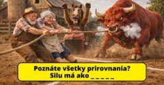 Ako dobre poznáte slovenské ľudové prirovnania? #2